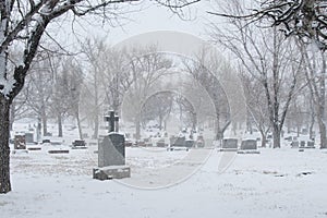 Wintery cemetary