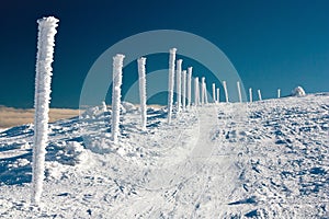 Wintery crosscountry skiing way