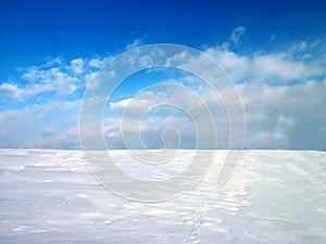 Wintery illustration 1