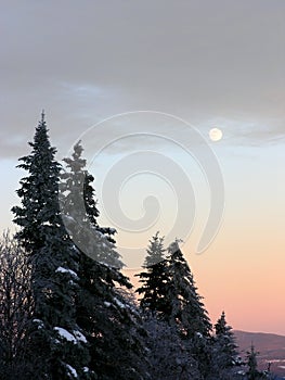 Wintery Moonrise