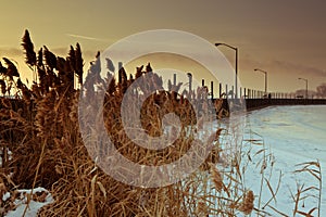 Wintery Pier