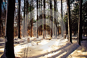 Wintery scene in Boston Massachusetts