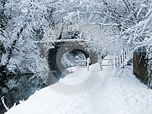 A Wintery scene on the Monmouthshire Canal