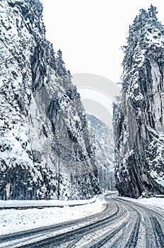 Wintery snowcovered mountain road with white snowy spruces and rocks. Wonderful wintry landscape. Travel background.