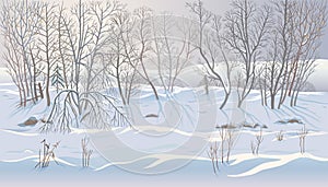 Winter landscape with snowdrifts and forest trees photo