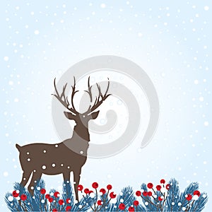 Wintry Background with Fir Twigs and Deer white background