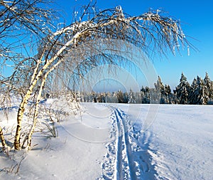 Wintry evening view cross country skiing way with