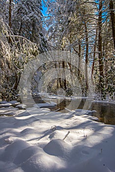 Wintry forest, Martins Fork River, Kentucky photo