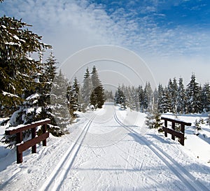 Wintry landscape with modified cross country skiing way