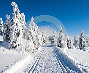 Wintry landscape with modified cross country skiing way