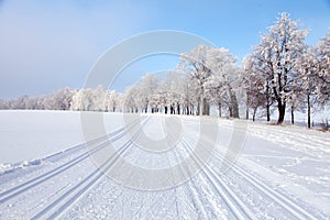 Wintry landscape with modified cross country skiing way