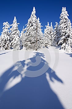 Wintry landscape scenery