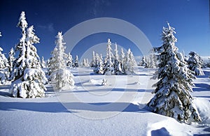 Wintry landscape scenery