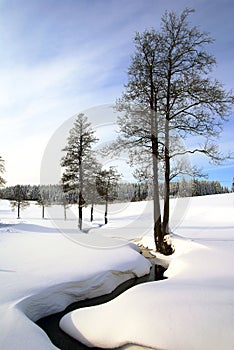 Wintry landscape scenery