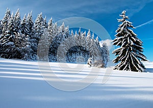 Wintry landscape scenery