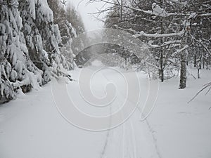 Wintry landscape scenery with modified cross country skiing way