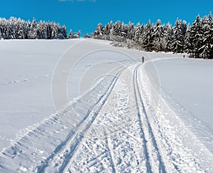 Wintry landscape scenery