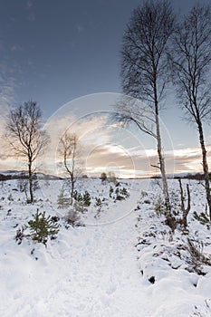 Wintry moorland track at Aviemore in Scotland