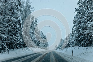 Wintry Path Through a Chilly Forest with Snow Covered Trees. Winter road through snowy forest