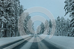 Wintry Path Through a Chilly Forest with Snow Covered Trees. Winter road through snowy forest