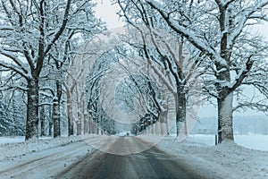 Wintry Path Through a Chilly Forest with Snow Covered Trees. Winter road through snowy forest