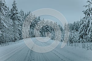 Wintry Path Through a Chilly Forest with Snow Covered Trees. Winter road through snowy forest