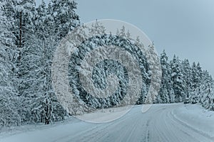 Wintry Path Through a Chilly Forest with Snow Covered Trees. Winter road through snowy forest