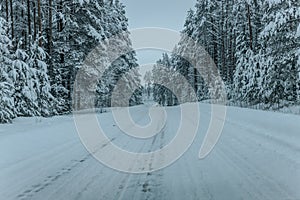 Wintry Path Through a Chilly Forest with Snow Covered Trees. Winter road through snowy forest