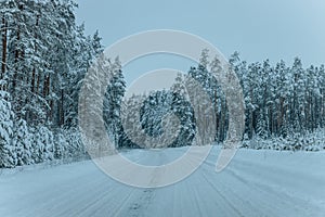 Wintry Path Through a Chilly Forest with Snow Covered Trees. Winter road through snowy forest