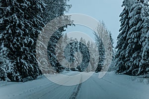 Wintry Path Through a Chilly Forest with Snow Covered Trees. Winter road through snowy forest