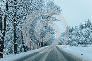 Wintry Path Through a Chilly Forest with Snow Covered Trees. Winter road through snowy forest