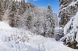 Wintry river in the alps