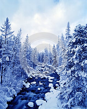 Wintry River Landscape photo