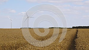 Winturbines in a Wheat Field
