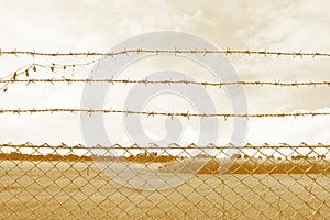 Barbed wire imprison, detention center, incarcerate, Barbed wire detention center at countryside and background sepia color style photo