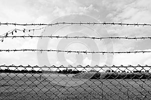 Barbed wire imprison, detention center, incarcerate, at countryside and background gray color style photo