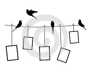 Wire with birds and picture frames hang on, vector. Wall decals, black and white wall art isolated on white background
