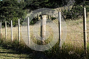 wire boundary farm fence with wooden posts