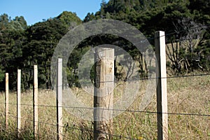 wire boundary farm fence with wooden posts