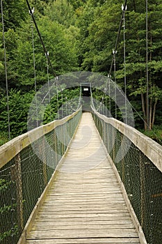 Wire bridge