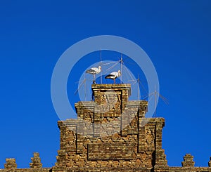 Wire device in a tower, to prevent the construction of stork nests