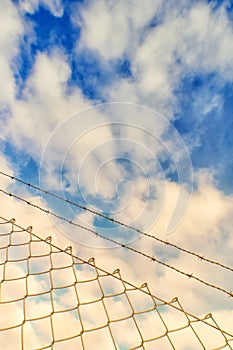 Wire fence 14