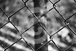Wire fence. Black and white