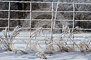 Wire fence covered in ice, in a snow country landscape