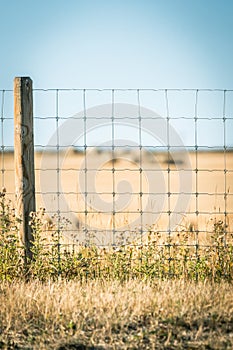 wire fence with farm fields behind it