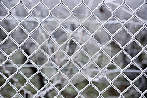 Wire fence with hoarfrost