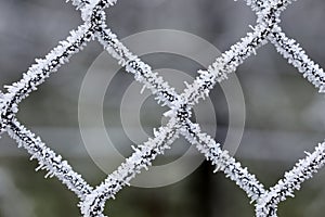 Wire fence with hoarfrost in winter