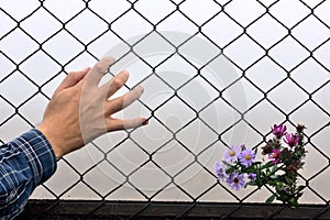 Wire fence holding hands and background