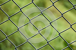 The wire fence