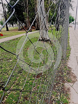 Wire fence photo